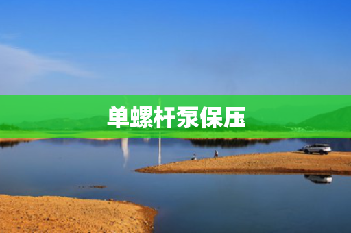 单螺杆泵保压
