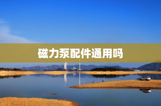 磁力泵配件通用吗