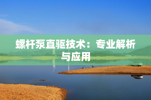螺杆泵直驱技术：专业解析与应用