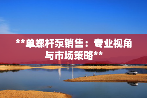 **单螺杆泵销售：专业视角与市场策略**