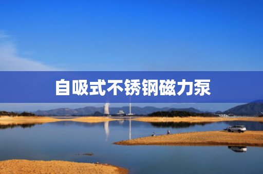 自吸式不锈钢磁力泵