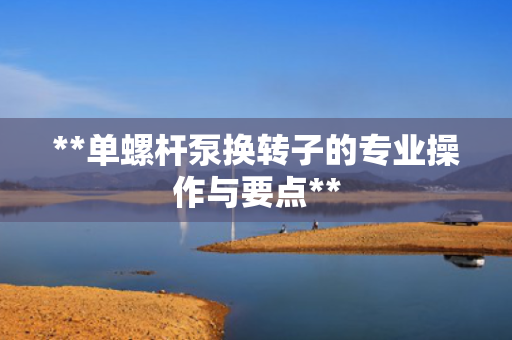 **单螺杆泵换转子的专业操作与要点**