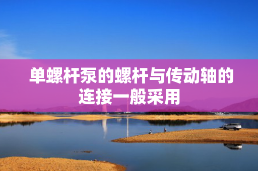  单螺杆泵的螺杆与传动轴的连接一般采用