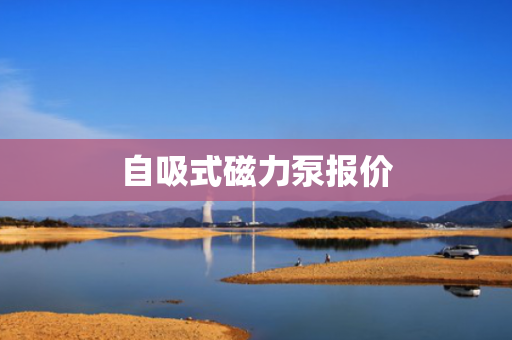 自吸式磁力泵报价