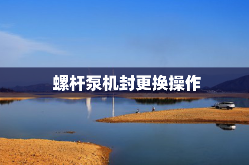  螺杆泵机封更换操作