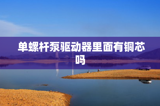  单螺杆泵驱动器里面有铜芯吗