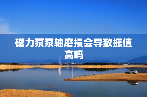 磁力泵泵轴磨损会导致振值高吗