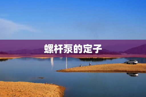 螺杆泵的定子