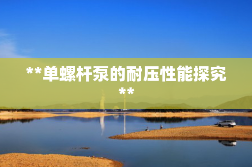 **单螺杆泵的耐压性能探究**
