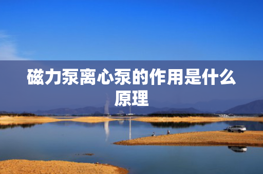 磁力泵离心泵的作用是什么原理