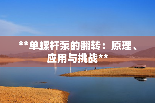 **单螺杆泵的翻转：原理、应用与挑战**
