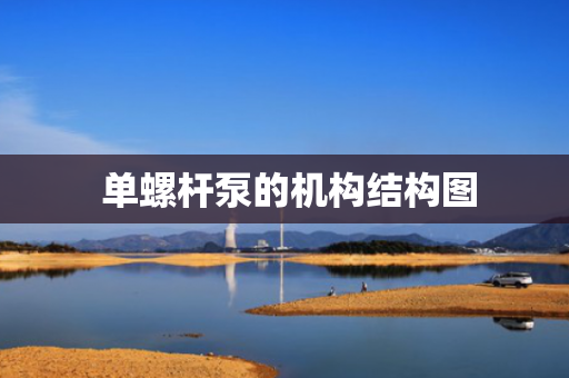  单螺杆泵的机构结构图