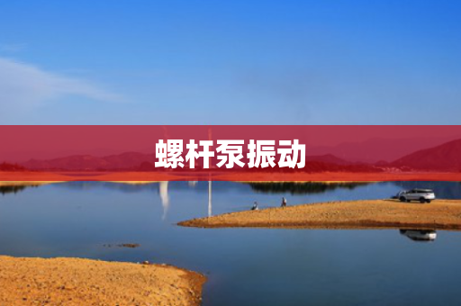 螺杆泵振动