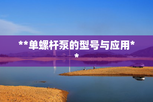 **单螺杆泵的型号与应用**