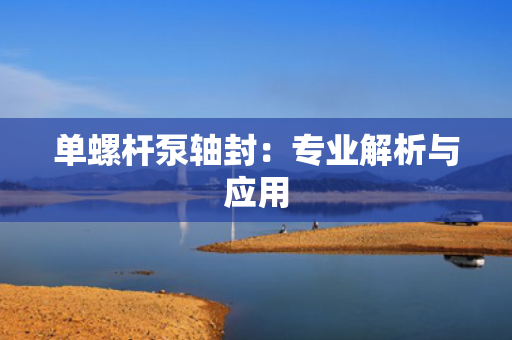 单螺杆泵轴封：专业解析与应用