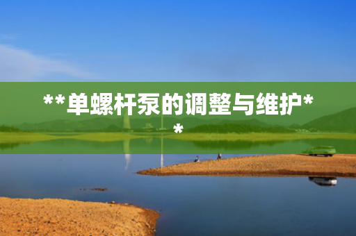 **单螺杆泵的调整与维护**
