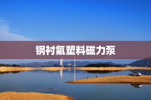 钢衬氟塑料磁力泵