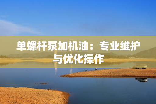 单螺杆泵加机油：专业维护与优化操作