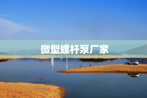  微型螺杆泵厂家