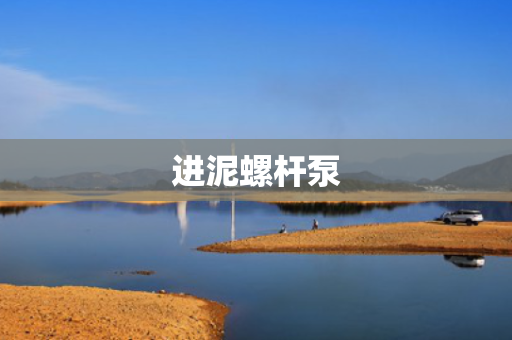 进泥螺杆泵