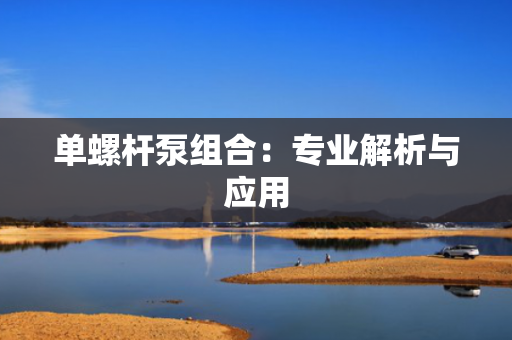单螺杆泵组合：专业解析与应用