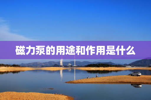 磁力泵的用途和作用是什么