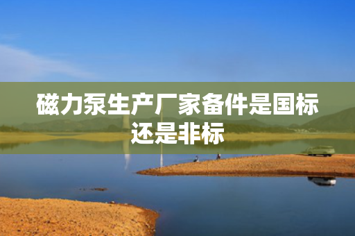 磁力泵生产厂家备件是国标还是非标