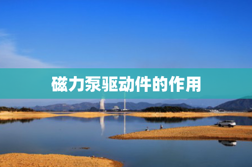 磁力泵驱动件的作用