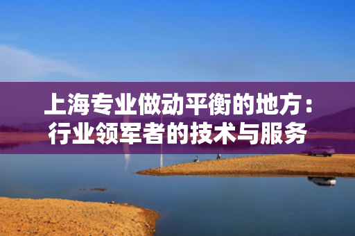 上海专业做动平衡的地方：行业领军者的技术与服务