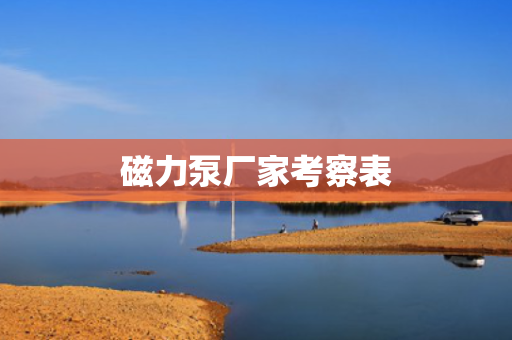 磁力泵厂家考察表