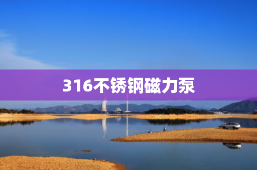 316不锈钢磁力泵
