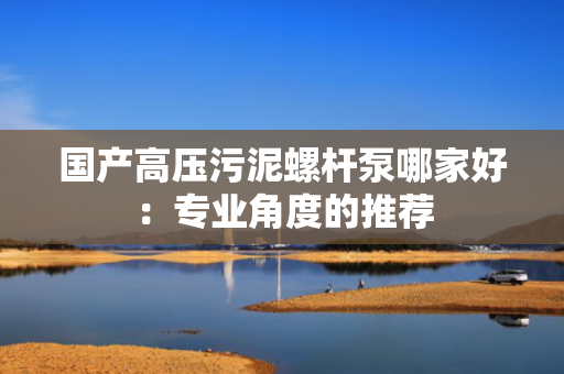 国产高压污泥螺杆泵哪家好：专业角度的推荐