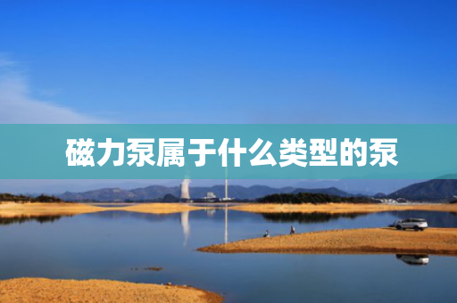  磁力泵属于什么类型的泵