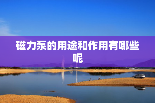 磁力泵的用途和作用有哪些呢