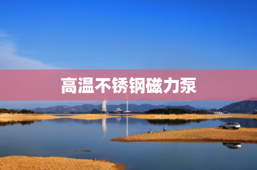 高温不锈钢磁力泵