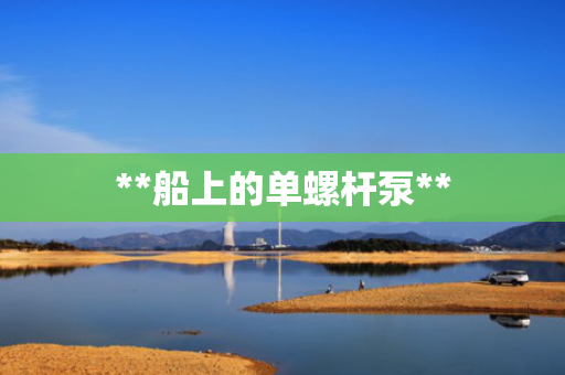 **船上的单螺杆泵**