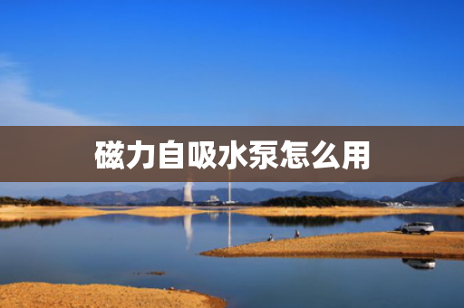 磁力自吸水泵怎么用