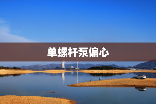 单螺杆泵偏心