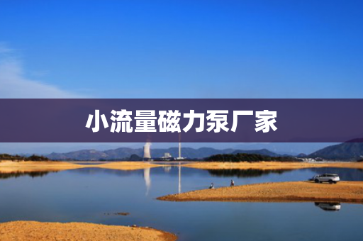 小流量磁力泵厂家