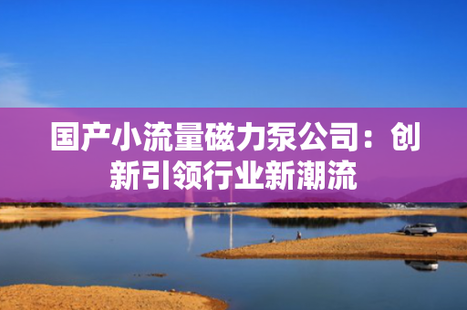 国产小流量磁力泵公司：创新引领行业新潮流