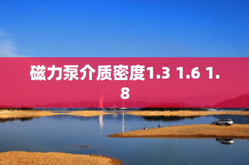 磁力泵介质密度1.3 1.6 1.8