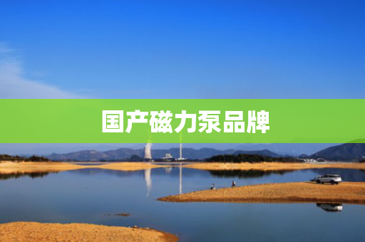  国产磁力泵品牌