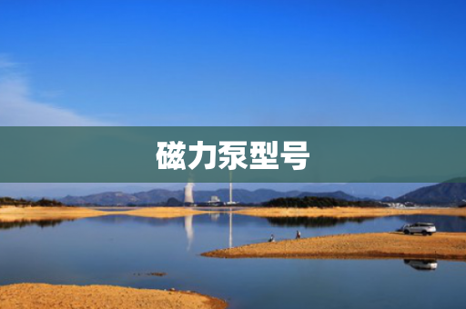 磁力泵型号