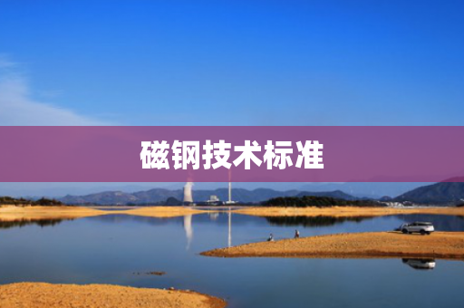 磁钢技术标准