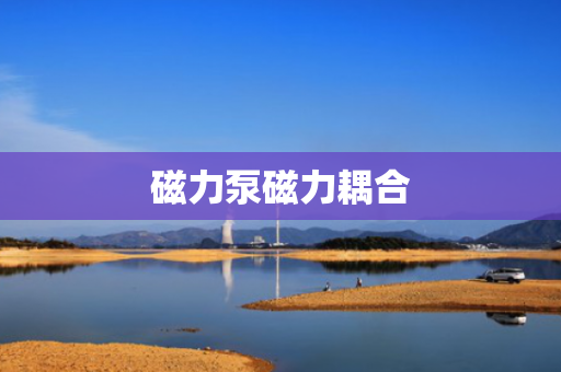 磁力泵磁力耦合