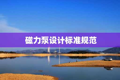  磁力泵设计标准规范