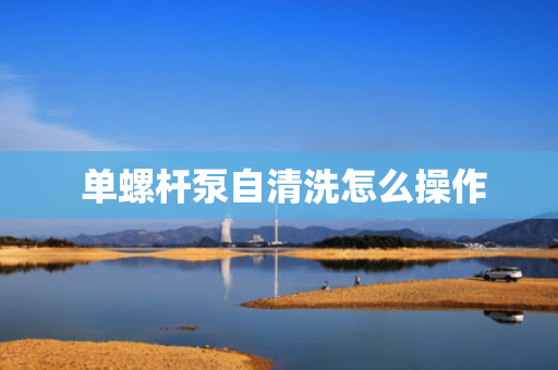  单螺杆泵自清洗怎么操作