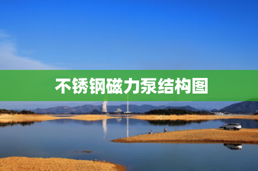 不锈钢磁力泵结构图