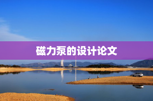 磁力泵的设计论文