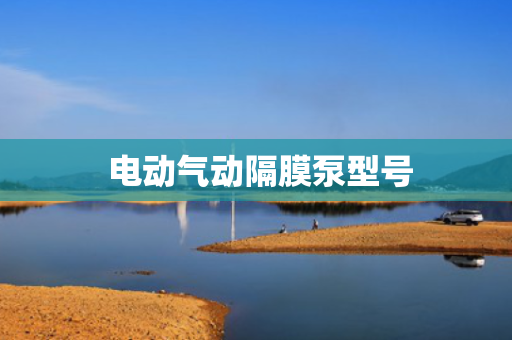  电动气动隔膜泵型号